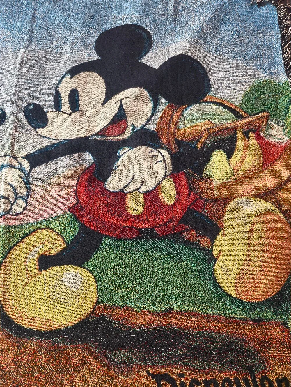 Vintage Disneyland Resort Mickey & Minnie Mouse Picnic Woven Tapestry Blanket